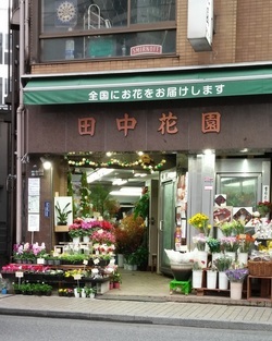 写真：三鷹田中花園　本店